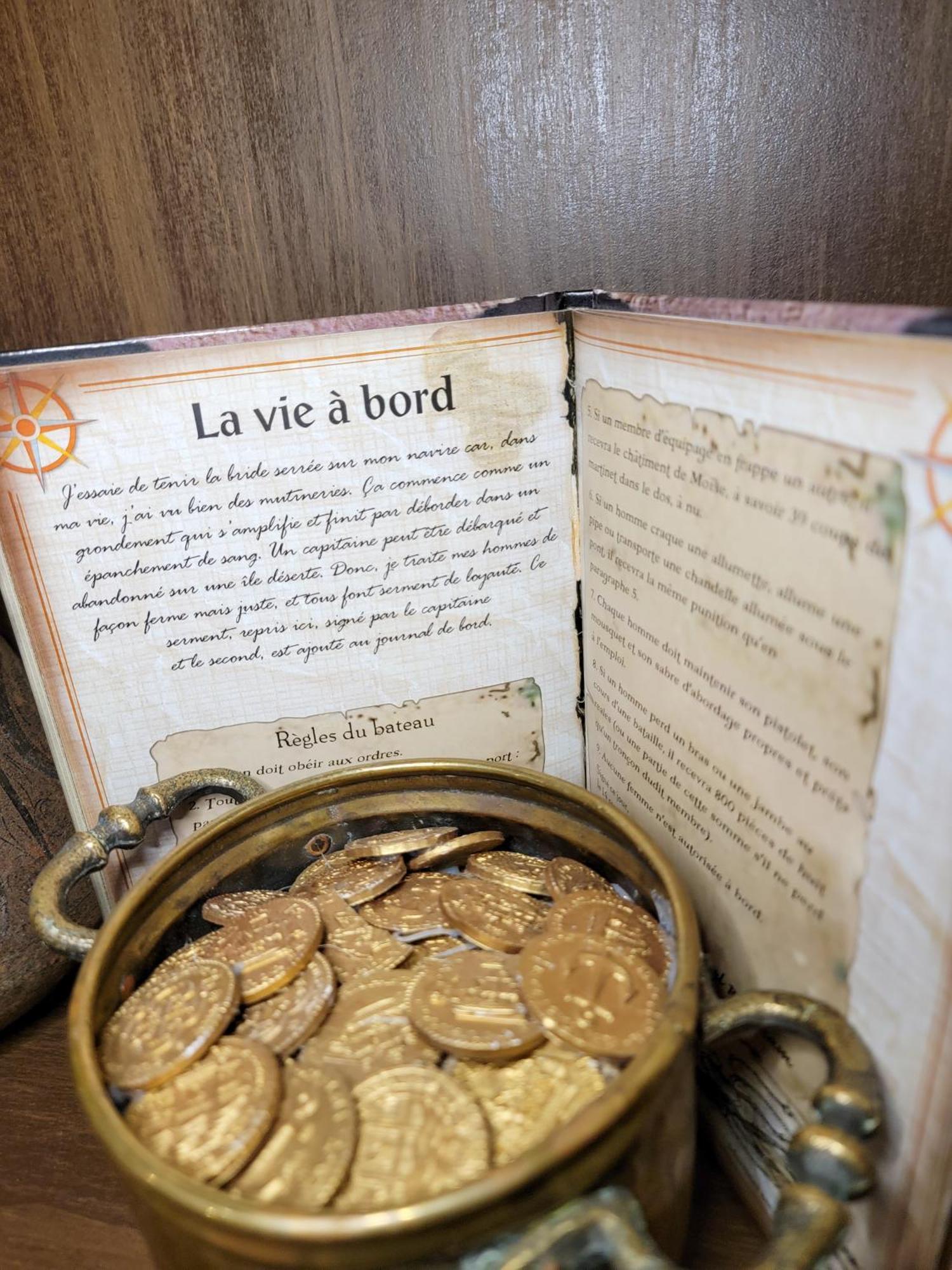 Apartment Chez Les Pirates Charme & Confort A 10 Min De Colmar Sainte-Croix-en-Plaine
